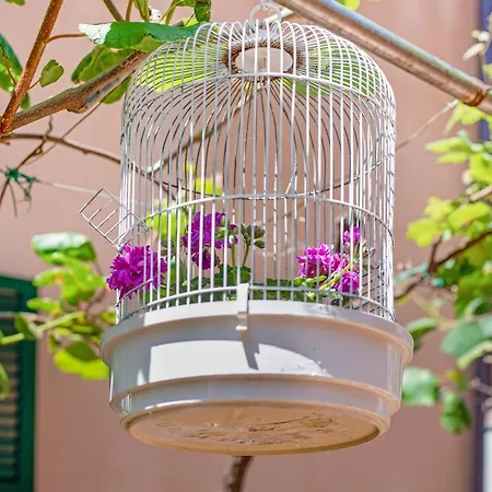 Un'oasi Al Mare Appartement